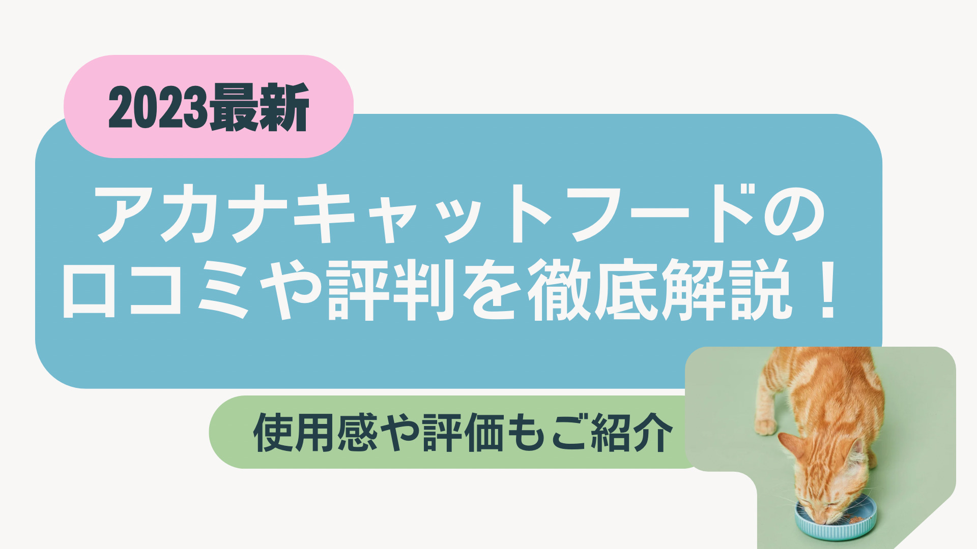 アカナキャットフードの口コミや評判を徹底解説！使用感や評価もご紹介