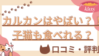 【猫の生活アドバイザー監修】カルカンはやばい！?子猫にあげても大丈夫？口コミや評判を徹底解説! 