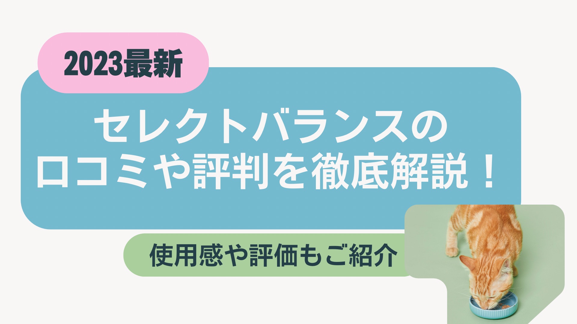 セレクトバランスキャットフードの口コミや評判を徹底解説！使用感や評価もご紹介