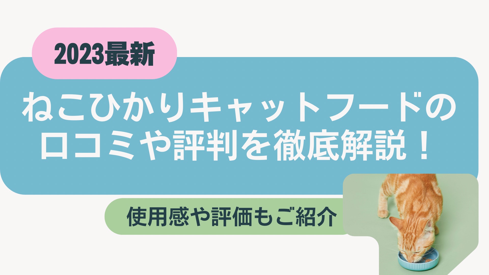 【猫の生活アドバイザー監修】ねこひかりキャットフードの口コミや評判を徹底解説！使用感や評価もご紹介