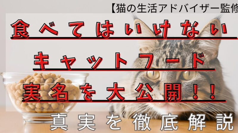 【猫の生活アドバイザー監修】食べてはいけないキャットフードの実名を大公開!真実を徹底解説! 