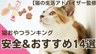 【猫の生活アドバイザー監修】猫おやつランキング｜安全でおすすめのおやつ14選 