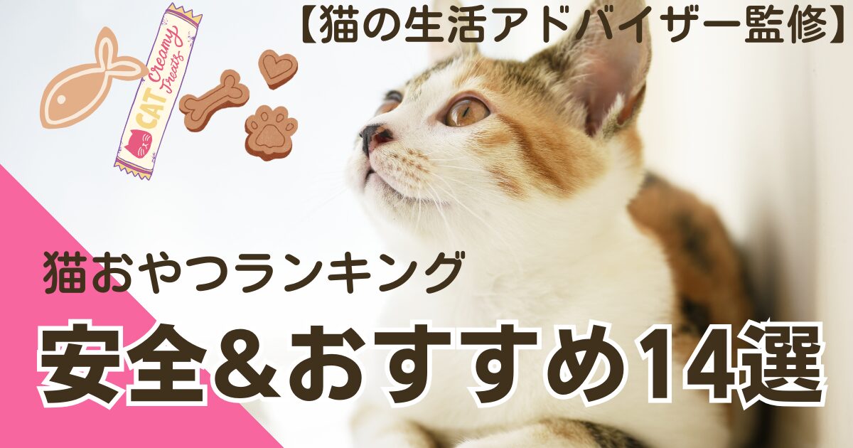 【猫の生活アドバイザー監修】猫おやつランキング｜安全でおすすめのおやつ14選